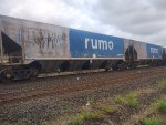 RUMO HPT-033775-7